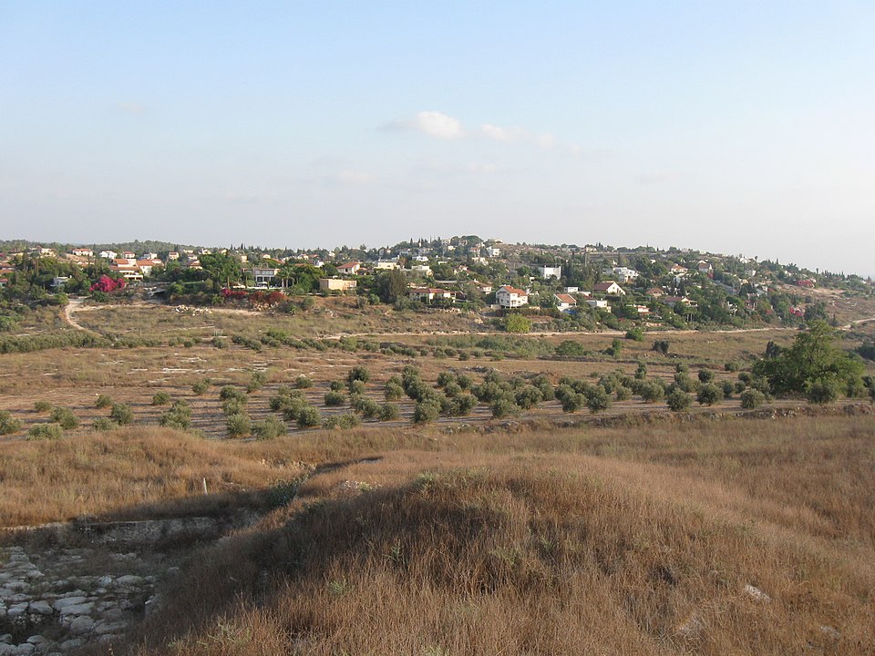 כרמי יוסף