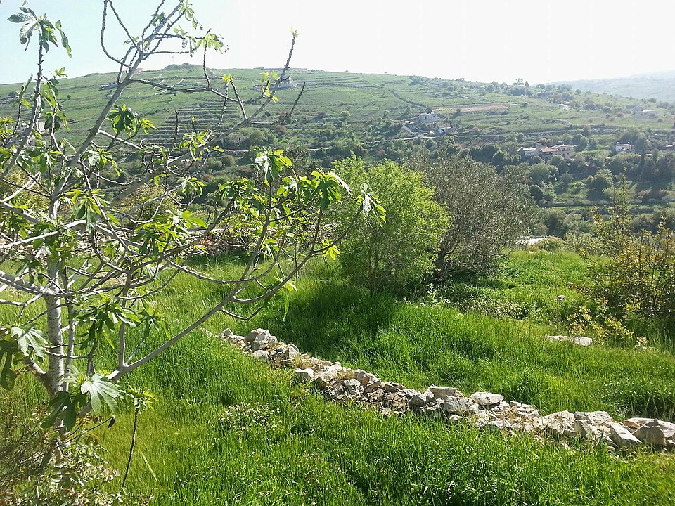 רכס השיעי